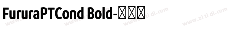 FururaPTCond Bold字体转换
